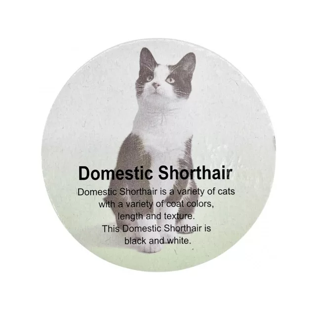 فیگور مدل گربه بریتیش طرح British shorthair ارتفاع 7.7 سانتیمتر