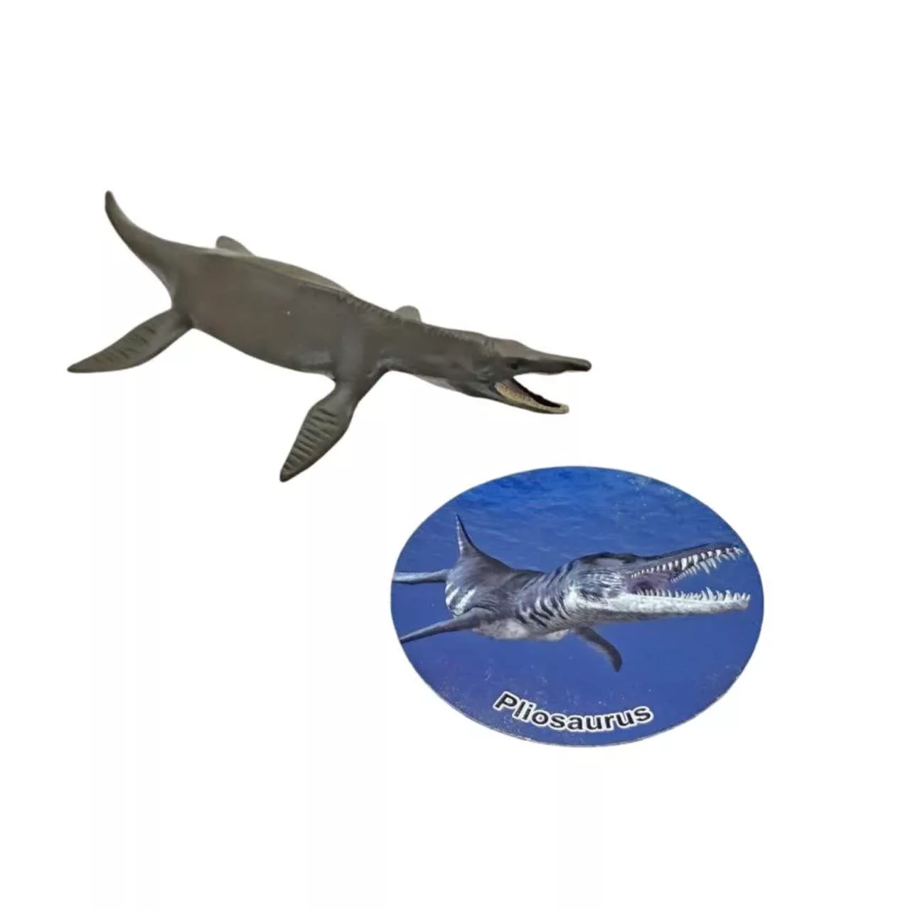 فیگور ناب سل مدل پلیوسوروس کد PLIOSAURUS NAAB038 ارتفاع 2 سانتی متر