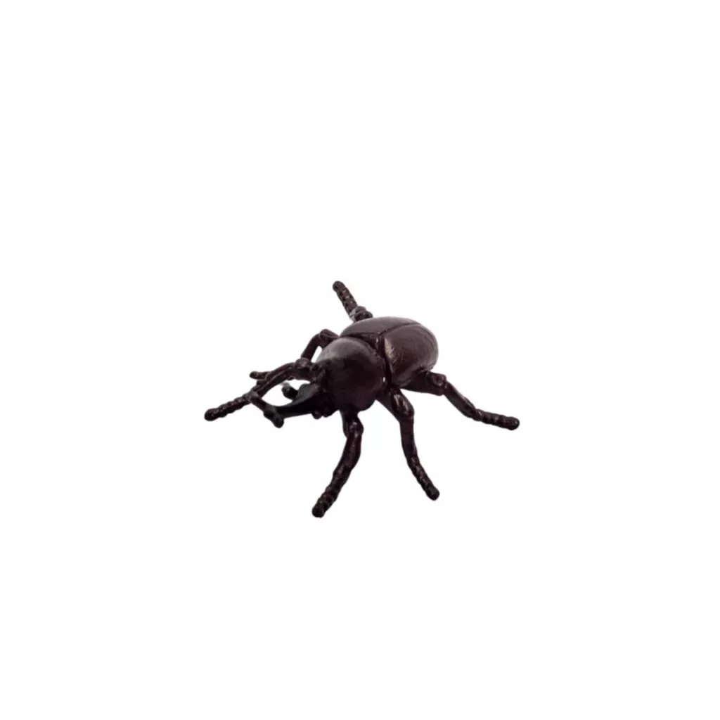 فیگور ناب سل مدل سوسک کرگدنی RHINOCEROS BEETLE ارتفاع 2 سانتی متر