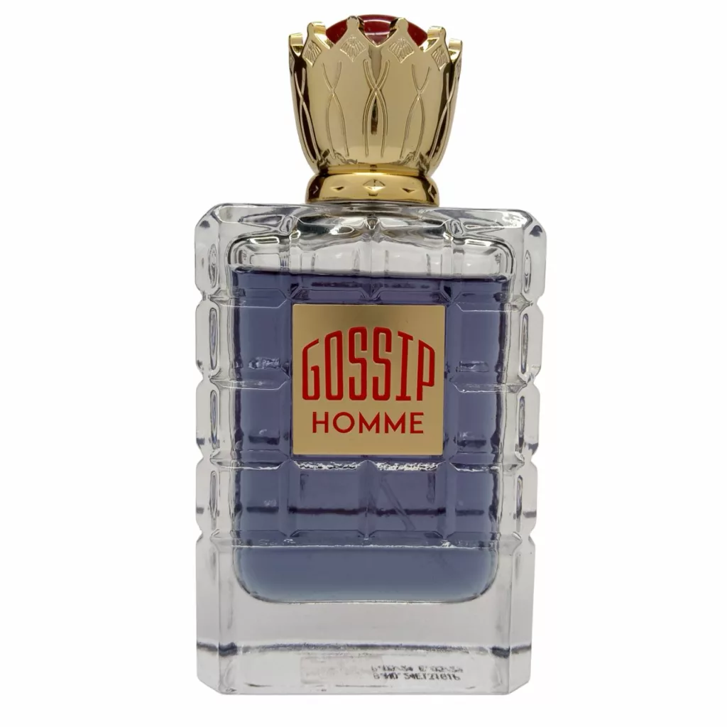 ادو پرفیوم مردانه ام پی اف مدل GOSSIP HOMME با رایحه شیرین حجم 100 میلی لیتر