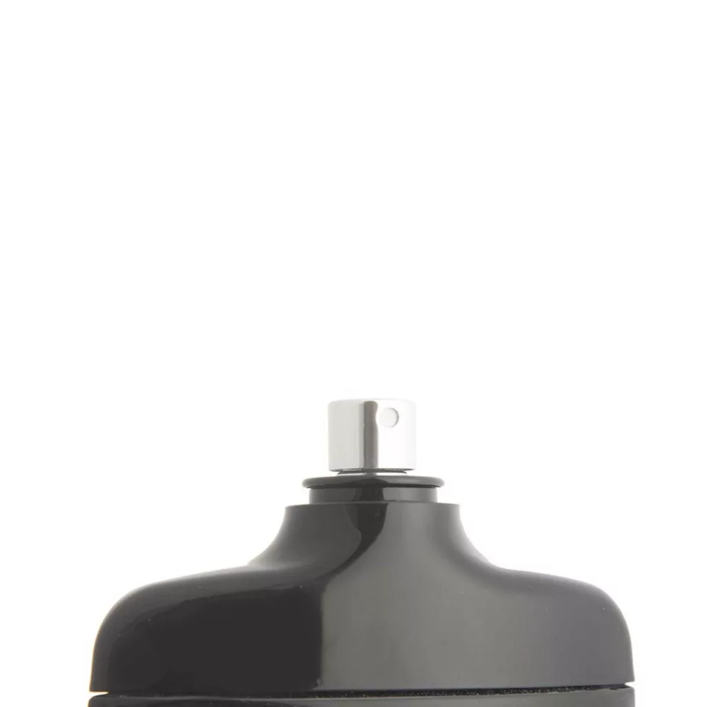 ادو پرفیوم مردانه نایس پاپت مدل Silver Scent با رایحه خنک و تند حجم 85 میلی لیتر