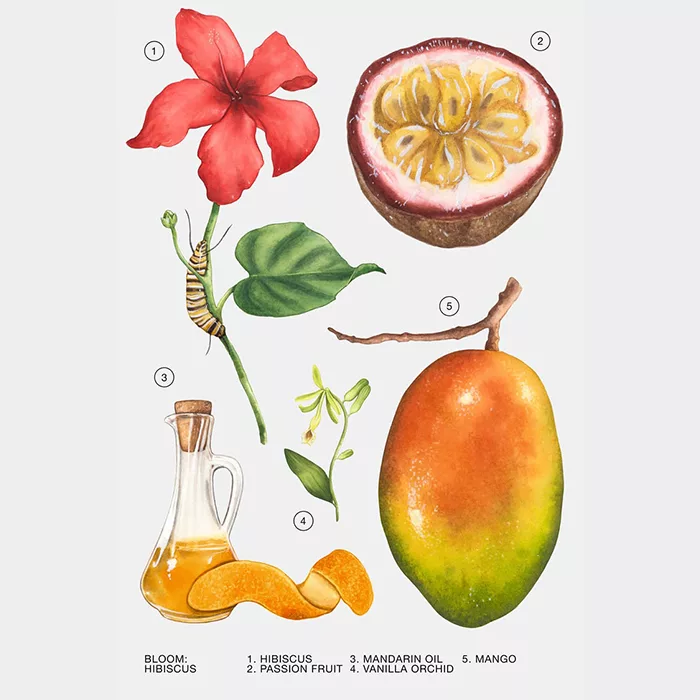 ادو پرفیوم زنانه زارا مدل HIBISCUS حجم 90 میلی‌لیتر