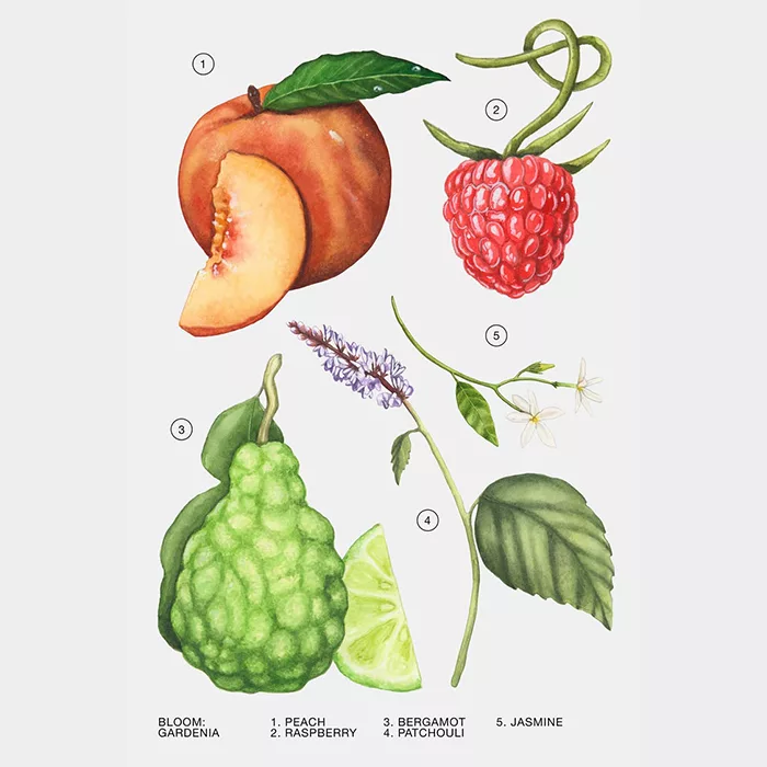ادو پرفیوم زنانه زارا مدل GARDENIA حجم 90 میلیلیتر