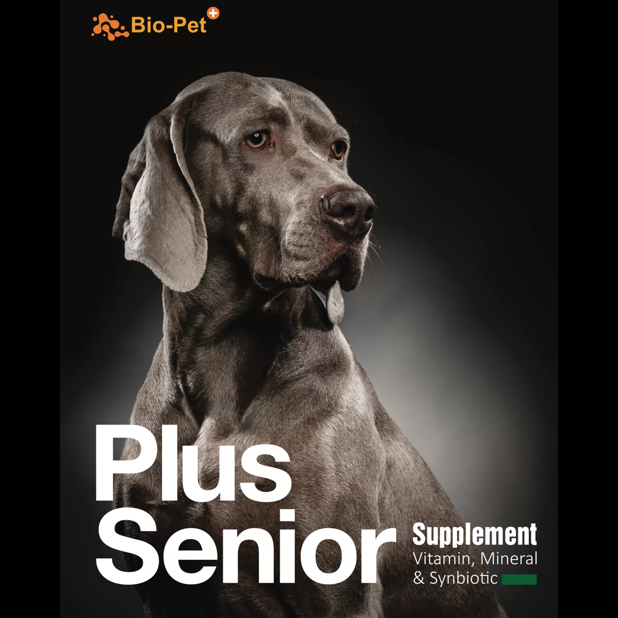 پودر مکمل بایو پت مدل Plus Senior وزن 200 گرم