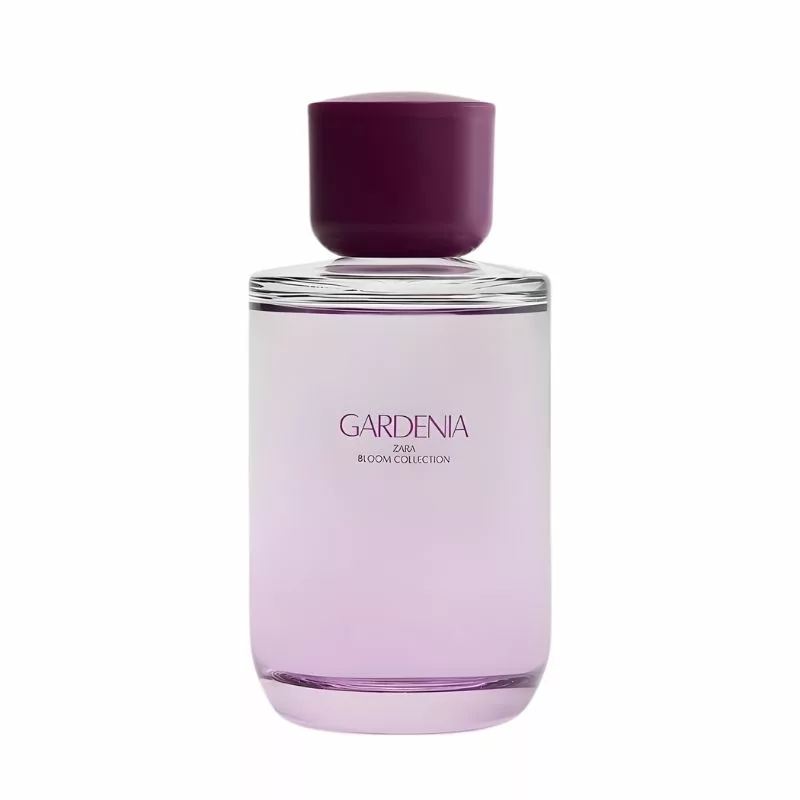 ادوپرفیوم زنانه زارا مدل Gardenia با رایحه گرم حجم 180 میلی‌لیتر