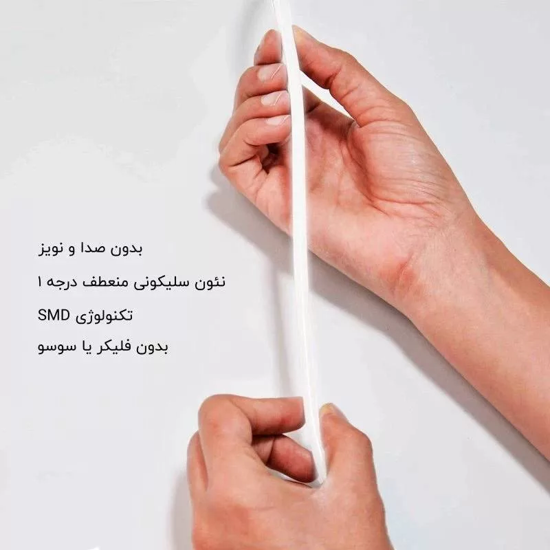 ریسه نئون فلکسی مدل N002 طول 10 متر
